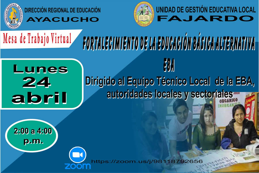 FORTALECIMIENTO DE LA EDUCACION BASICA ALTERNATIVA