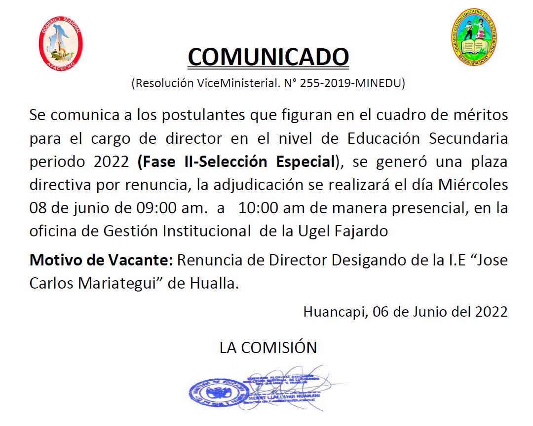 plaza vacante director jcm hualla