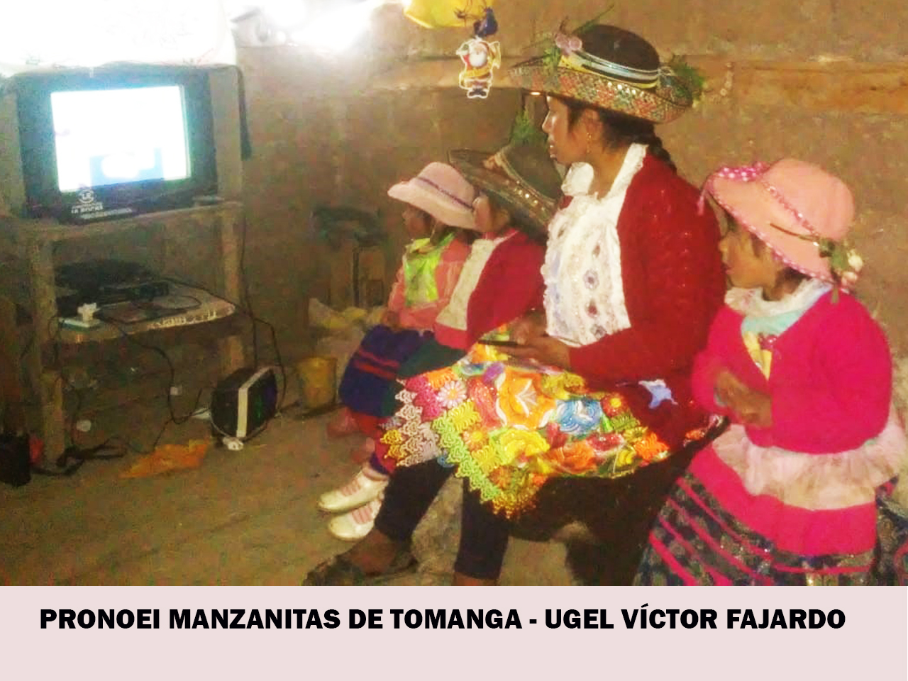 PRONOEI MANZANITAS DE TOMANGA 1