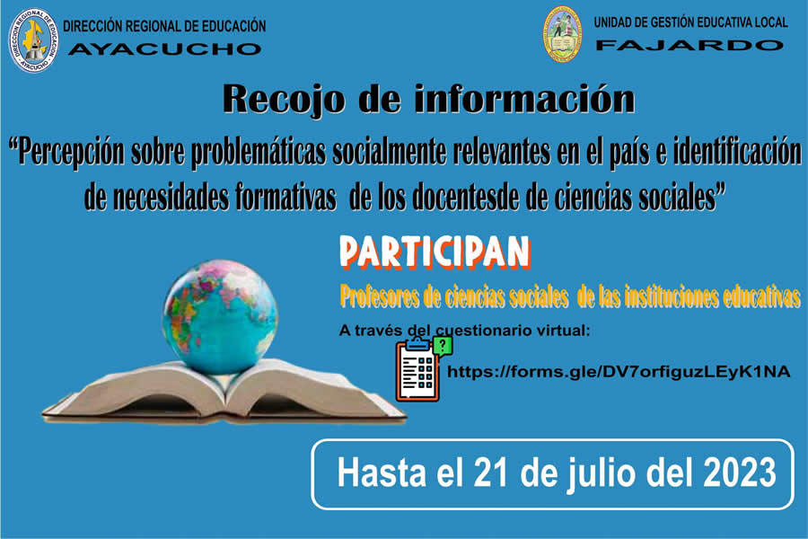 recojo informacion virtual prof sociales